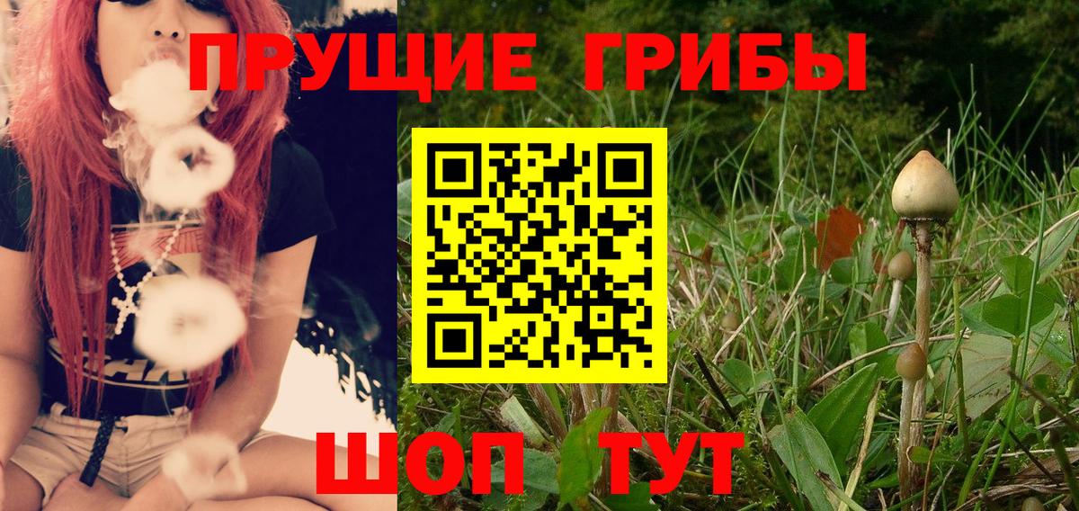 Псилоцибиновые грибы MAGIC MUSHROOMS  Вход с VPN  Миллерово  Псилоцибиновые грибы Magic Shrooms 